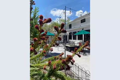 121 2 Ave, Niwot, CO 80544 - Photo 45