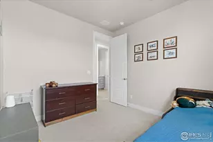 1322 Alyssa Dr, Timnath, CO 80547 - Photo 29