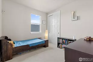 1322 Alyssa Dr, Timnath, CO 80547 - Photo 31