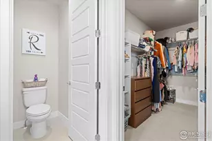 1322 Alyssa Dr, Timnath, CO 80547 - Photo 25