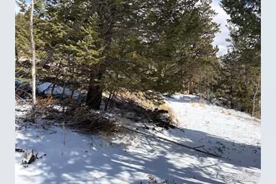 115 Wenro Ct, Red Feather Lakes, CO 80545 - Photo 13