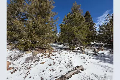 115 Wenro Ct, Red Feather Lakes, CO 80545 - Photo 43