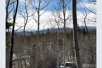 115 Wenro Ct, Red Feather Lakes, CO 80545 - Photo 37