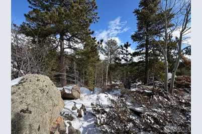 115 Wenro Ct, Red Feather Lakes, CO 80545 - Photo 5