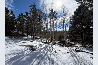 115 Wenro Ct, Red Feather Lakes, CO 80545 - Photo 39