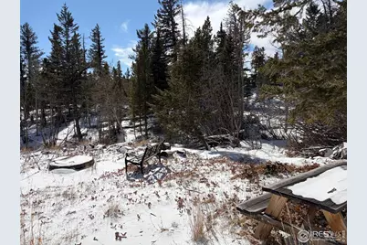 115 Wenro Ct, Red Feather Lakes, CO 80545 - Photo 9