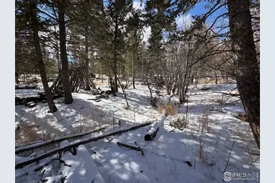 115 Wenro Ct, Red Feather Lakes, CO 80545 - Photo 31