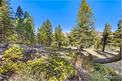 323 Roxbury Dr, Boulder, CO 80302 - Photo 5