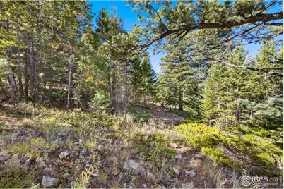 323 Roxbury Dr, Boulder, CO 80302 - Photo 11