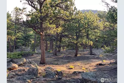 12190 State Highway 7, Allenspark, CO 80510 - Photo 5