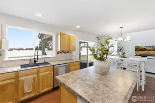 1206 Muskox St, Severance, CO 80550 - Photo 9