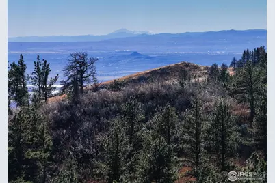 15655 Mossrock Dr, Longmont, CO 80503 - Photo 11