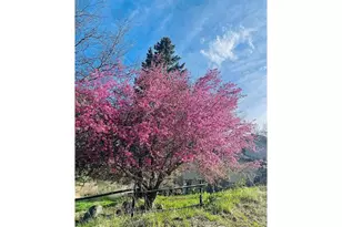 1037 Wagonwheel Gap Rd, Boulder, CO 80302 - Photo 23