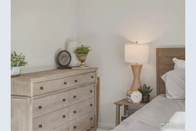 6055 John Muir Dr, Timnath, CO 80547 - Photo 41