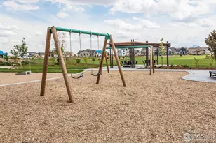 5701 Stone Fly Dr, Timnath, CO 80547 - Photo 45