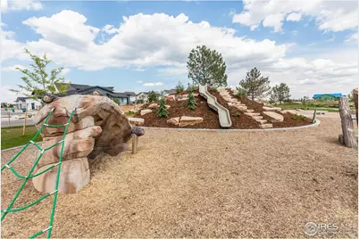 5409 Yancy St, Timnath, CO 80547 - Photo 47