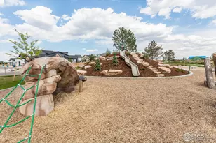 5409 Yancy St, Timnath, CO 80547 - Photo 47