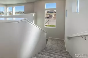 5409 Yancy St, Timnath, CO 80547 - Photo 19