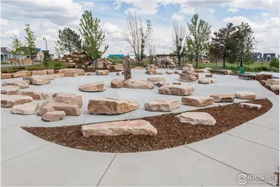 5409 Yancy St, Timnath, CO 80547 - Photo 45