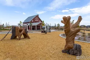 6117 Saddle Horn Dr, Timnath, CO 80547 - Photo 45