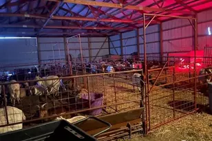 39281 Co Rd 38, Fleming, CO 80728 - Photo 19