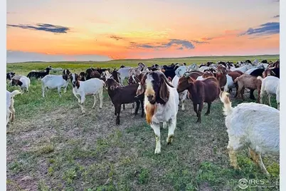 39281 County Road 38, Fleming, CO 80728 - Photo 49