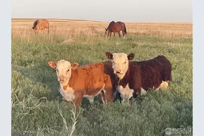 39281 County Road 38, Fleming, CO 80728 - Photo 11