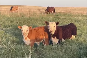 39281 Co Rd 38, Fleming, CO 80728 - Photo 11