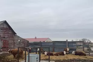 39281 Co Rd 38, Fleming, CO 80728 - Photo 13