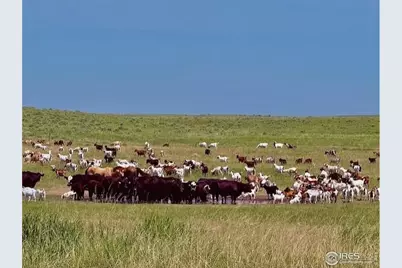 39281 County Road 38, Fleming, CO 80728 - Photo 47