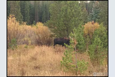 129 Kiliwa Ct, Red Feather Lakes, CO 80545 - Photo 15