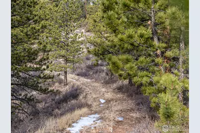 2127 US Highway 34, Drake, CO 80515 - Photo 15