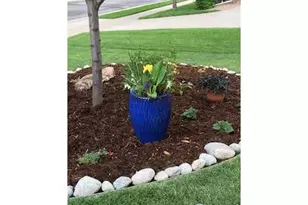 3117 Eagle Butte Ave, Frederick, CO 80516 - Photo 5