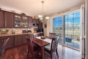 1033 Zodo Ave, Erie, CO 80516 - Photo 29