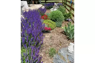 1033 Zodo Ave, Erie, CO 80516 - Photo 43