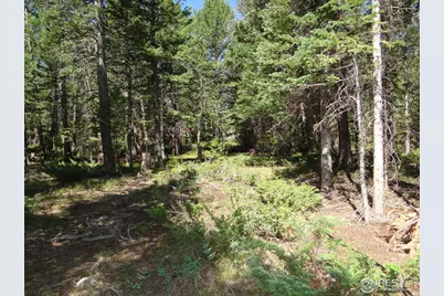 257 Jicarilla Trl, Red Feather Lakes, CO 80545 - Photo 7