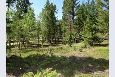 257 Jicarilla Trl, Red Feather Lakes, CO 80545 - Photo 17