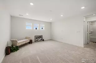 5548 Runge Ct, Timnath, CO 80547 - Photo 19