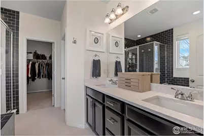 5219 Odessa Lake St, Timnath, CO 80547 - Photo 17