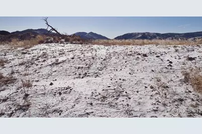 83 Bull Rock Ct, Livermore, CO 80536 - Photo 1