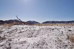 83 Bull Rock Ct, Livermore, CO 80536 - Photo 1