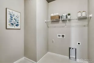 640 Noola St, Windsor, CO 80550 - Photo 19