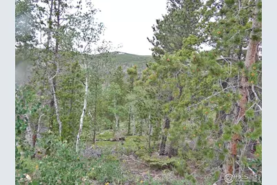 1601 Osage Trl, Red Feather Lakes, CO 80545 - Photo 21