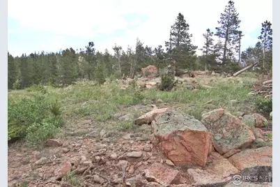 1601 Osage Trl, Red Feather Lakes, CO 80545 - Photo 19