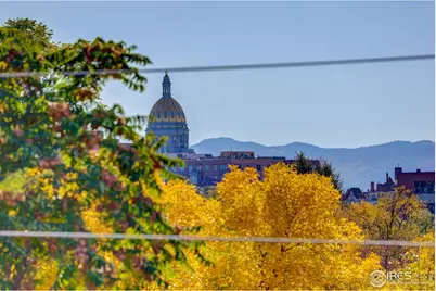 2139 N Downing St, Denver, CO 80205 - Photo 29