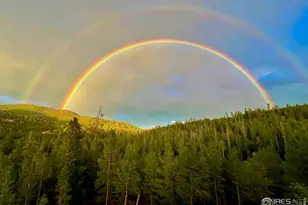 3689 Ottawa Way, Red Feather Lakes, CO 80545 - Photo 37