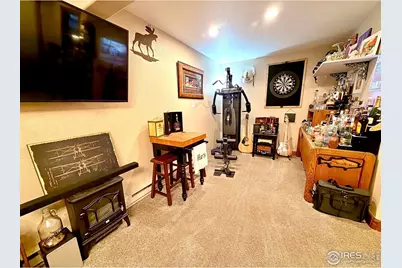 3689 Ottawa Way, Red Feather Lakes, CO 80545 - Photo 35