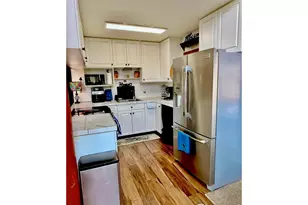 3689 Ottawa Way, Red Feather Lakes, CO 80545 - Photo 15