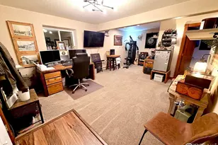 3689 Ottawa Way, Red Feather Lakes, CO 80545 - Photo 33