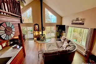 3689 Ottawa Way, Red Feather Lakes, CO 80545 - Photo 11